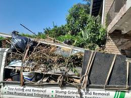 Best Hoarding Cleanup  in Brush Prairie, WA